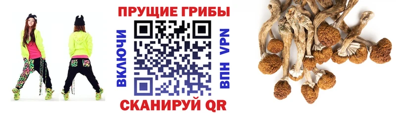 Купить  Пермь  Галлюциногенные грибы MAGIC MUSHROOMS 